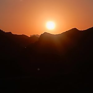 کارگر پسته‌چینی آماده به کار – روزمزد