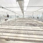 نیروی خدماتی با اسکان در گلخانه